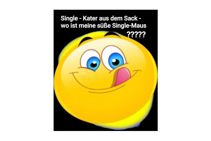 Single Kater Sack - Freundschaft & Unternehmungen - Bild 1
