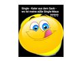 Single Kater Sack - Freundschaft & Unternehmungen - Bild 1