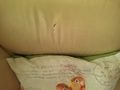 Ledercouch Sofa beige echtem Leder - Sofas & Sitzm�bel - Bild 4