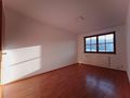 Sch�ne ruhige sonnige 3 Zimmer OG Whg - Wohnung mieten - Bild 4