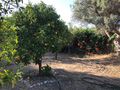 Ferienhaus Dorf Meer Griechenland - Haus kaufen - Bild 7