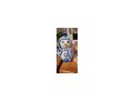 Geh�kelte Schneem�nner - Weihnachtsdeko - Bild 15