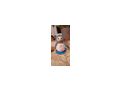 Geh�kelte Schneem�nner - Weihnachtsdeko - Bild 10