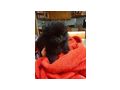 S��e Pomeranian Zwergspitzwelpen verkaufen - Rassehunde - Bild 4