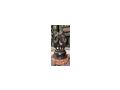 alte Bronze Statue Kinder Children massiv - Antiquit�ten, Sammeln & Kunstwerke - Bild 3