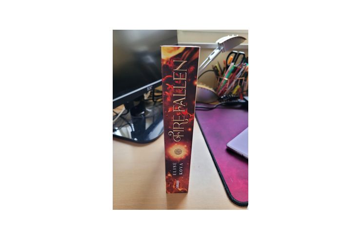 Fire Fallen - Romane, Biografien, Sagen usw. - Bild 1