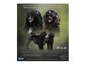 Portugiesischer Wasserhund Welpe - Rassehunde - Bild 1