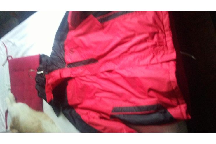 Skijacke - Gr��en 44-46 / L - Bild 1