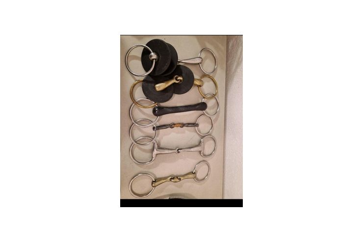 Diverses - Z�gel, Halfter, Z�ume & Geschirre - Bild 1