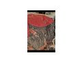 Diverse Decken - S�ttel, Unterlagen & Zubeh�r - Bild 10