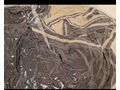 Diverses - Z�gel, Halfter, Z�ume & Geschirre - Bild 7