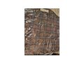 Diverses - Z�gel, Halfter, Z�ume & Geschirre - Bild 8