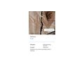 Diverses - Z�gel, Halfter, Z�ume & Geschirre - Bild 9