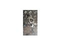 VINTAGE Machinary UHR - Uhren & Wecker - Bild 4