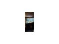 Aquarien - Fische - Bild 10