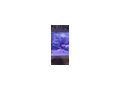 Aquarien - Fische - Bild 6