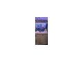 Aquarien - Fische - Bild 9