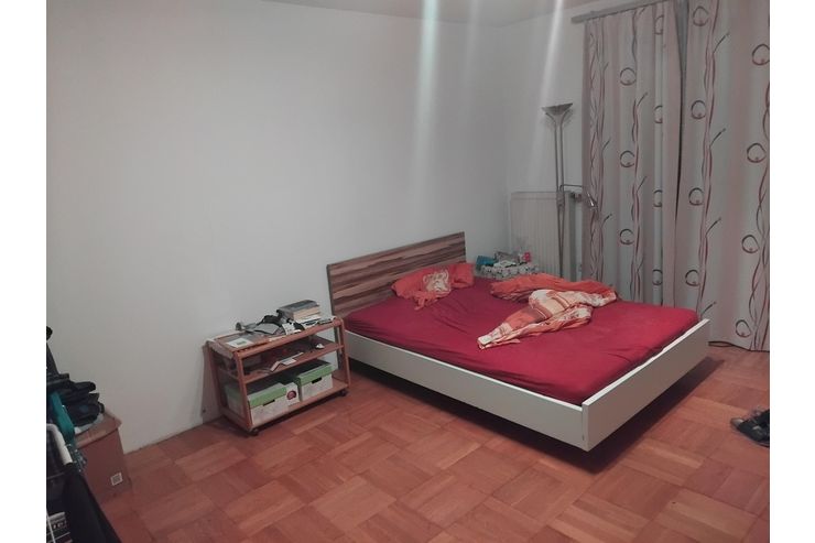 Putzfrau gesucht - Haushaltshilfe & Reinigung - Bild 1