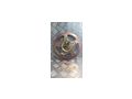 Wan VINTAGE Uhr - Uhren & Wecker - Bild 1