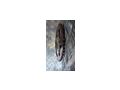 Wan VINTAGE Uhr - Uhren & Wecker - Bild 2