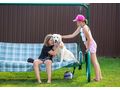 Die junge aktive Leta Familie - Mischlingshunde - Bild 3