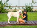 Die junge aktive Leta Familie - Mischlingshunde - Bild 4