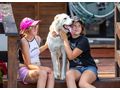 Die junge aktive Leta Familie - Mischlingshunde - Bild 5