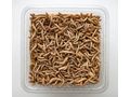 1 kg frische Mehlw�rmer - Insekten - Bild 2