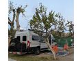 Rollertr�ger Linnepe Fiat Ducato - Zubeh�r & Ersatzteile - Bild 2