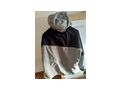 Jack Wolfskin Gr XL - Gr��en 56-58 / XL - Bild 3