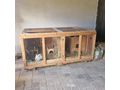 Hasen Hasenstall verschenken - Kaninchen & Hasen - Bild 4