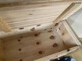 Truhe Zirbe Tischler Handarbeit - Kommoden & Schr�nke - Bild 3