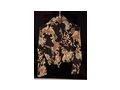 W Angel Blazer Bluse - Gr��en 32-34 / XS - Bild 4