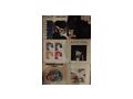 Schallplatten - LPs & Schallplatten - Bild 12