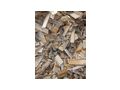 Brennholz - Brennholz & Pellets - Bild 2
