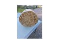 Anz�ndholz Spreisln - Brennholz & Pellets - Bild 3