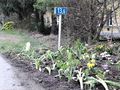 F�r feine Cavaliers - Wiedersehen - Bild 2