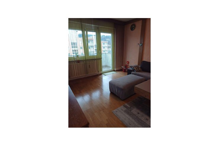 Gro�e Wohnung vermieten - Wohnung mieten - Bild 1
