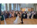 italienische deutsch internationale live musik - Musik, Foto & Kunst - Bild 4