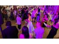 italienische Internationale Live musik band - Musik, Foto & Kunst - Bild 4