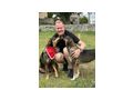 Kella w�nscht liebevolles Zuhause - Mischlingshunde - Bild 5