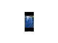 Opel Vivaro 1 9L Camper - Busse - Bild 16
