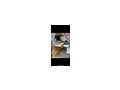 Opel Vivaro 1 9L Camper - Busse - Bild 8