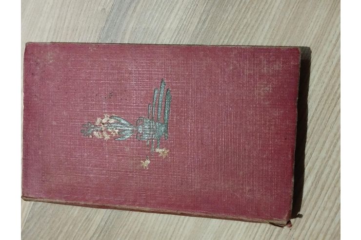 Sturm D�nen - Klassische Dichtung - Bild 1