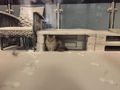 2 Maine Coon Kater - Rassekatzen - Bild 10