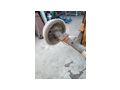 Hinterachse Differential Fiat 1300 1500 - Bremsen, Radantrieb & Zubeh�r - Bild 4