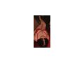 Elissa 100 natur xxl br�ste - Erotik Escort - Bild 5