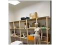 Gesch�ftslokal - Gewerbeimmobilie mieten - Bild 5