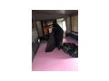 Wohnwagen gro�en Vorzelt Fixen Platz - Wohnwagen - Bild 18
