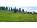 VLASIC BOSNIEN URLAUBS LAND KAUF AB 6 90 - Grundst�ck kaufen - Bild 3